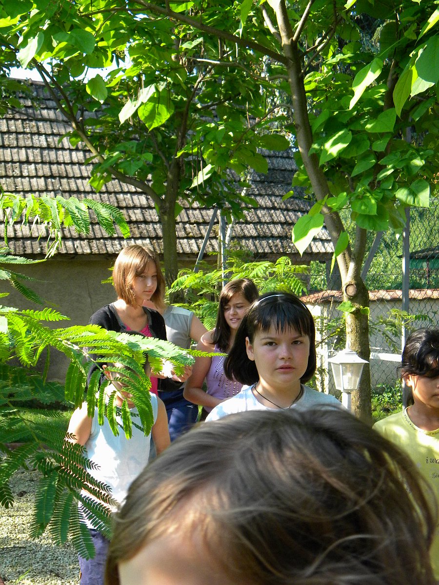 dscn7297