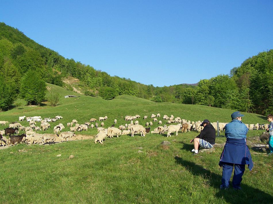 2009majus1_060